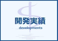 開発実績
